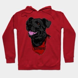 Negro Matapacos, the riot dog (evade) Hoodie